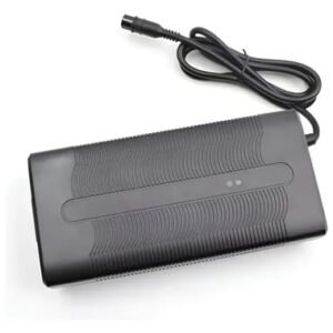 CARGADOR 100V (V12)